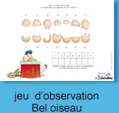 jeu d'observation bel oiseau